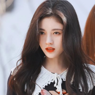我的章鱼老师