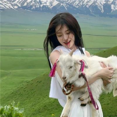 美国豚鼠2：血腥冲击